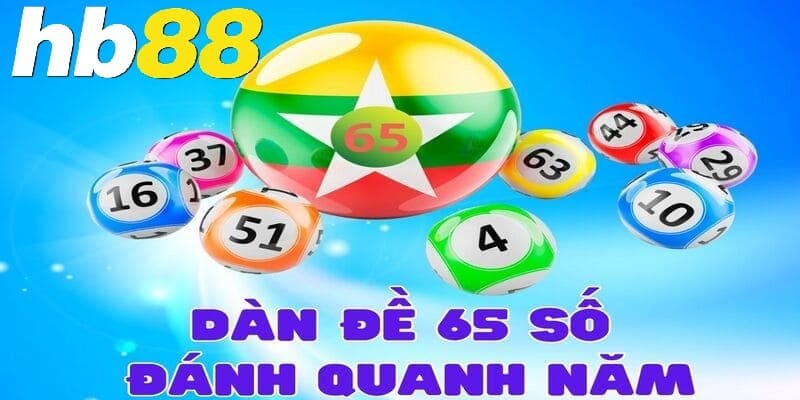 Lưu ý khi nuôi dàn gồm 65 số